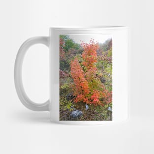 Red leaves bush Mug